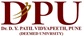 DY Patil University