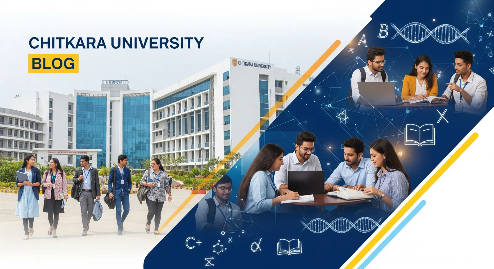 Is Chitkara University government or private